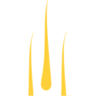 Logo di Estelifehair Saç Ekimi