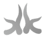 Logo di HairCenter Saç Ekim Merkezi
