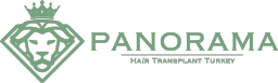 Logo di Panorama Hair Turkey