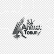Logo di The Hair Ahmet Tosun ( İstanbul)